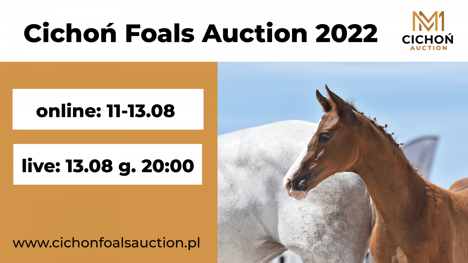 Cichoń Foals Auction 2022