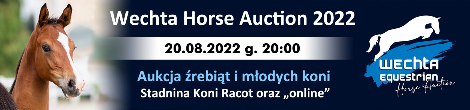 Wechta Horse Auction 2022