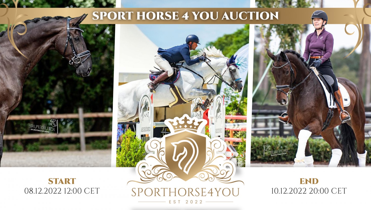 SPORTHORSE4YOU AUCTION